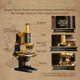 Pantasy Retro Microscope with Accessories Set 1107 pcs Brick Model Kit 85034