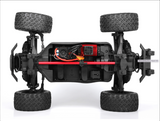 PD Racing RC RTR Brushless Truggy TR-10 4S - 1/10 Item #PD861R